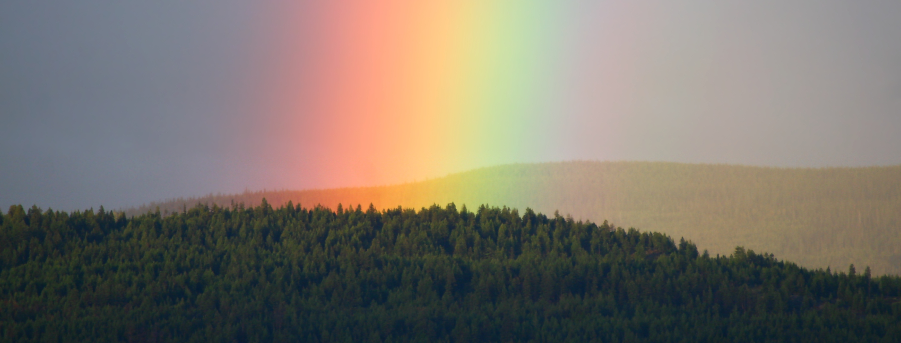 10 Rainbows to Get You Through the Day